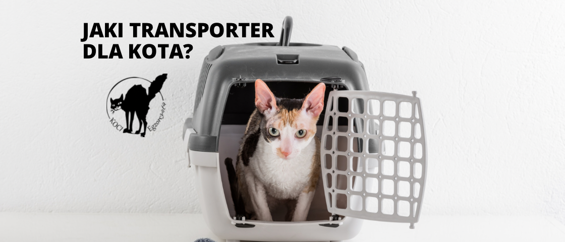 Transporter dla kota; transporterka,; plecak na kota; koci transporter; przewóz kota; bezpieczeństwo kota; kocia podróż; jak przewozić kota; podróż do weterynarza; plecak na kota; torba na kota;